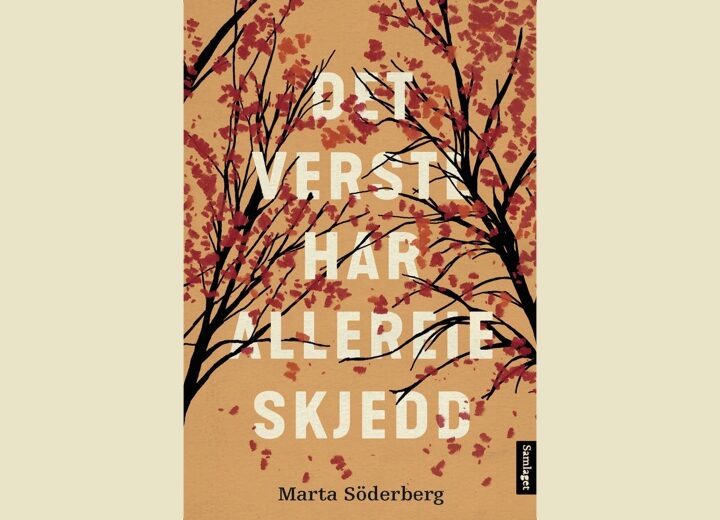 Nydelig bok med svak avslutning