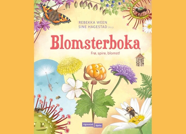 Bodskapen når ikkje publikum